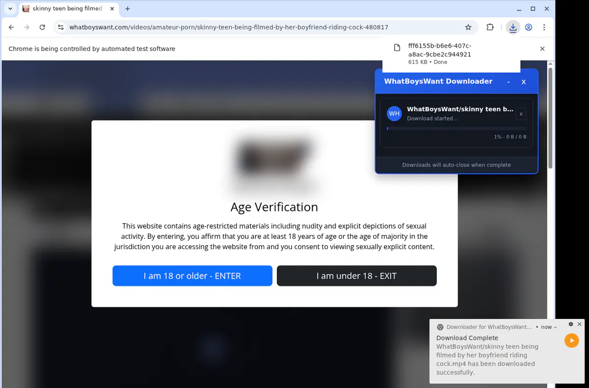 Whatboyswant Video Downloader screenshot 2