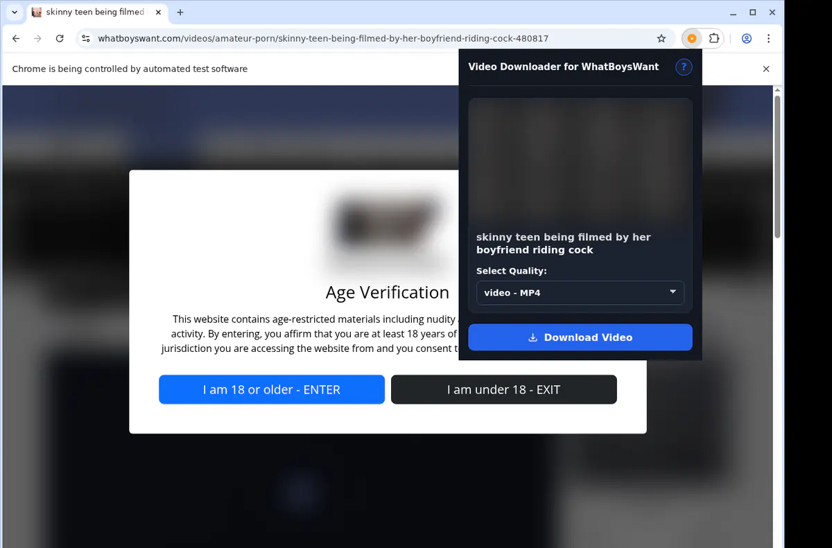 Whatboyswant Video Downloader screenshot 3